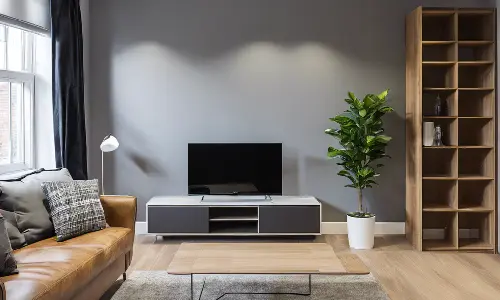 Best Building company Putney